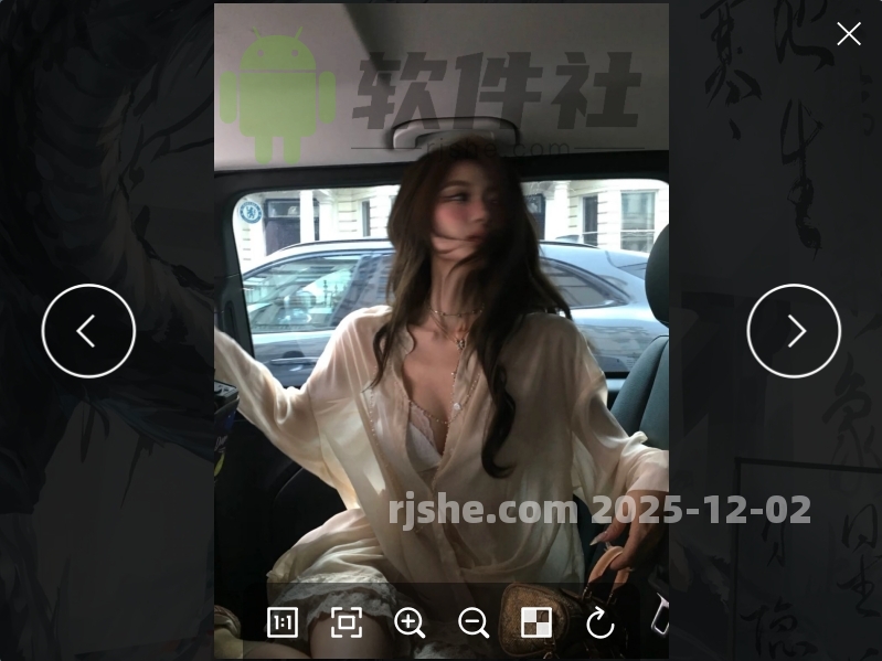 Pineapple Pictures(菠萝看图) v1.2.1 绿色版